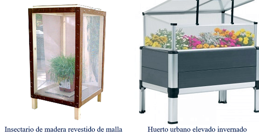 Criar mariquitas 03